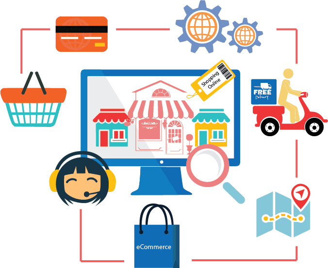 India E-commerce SEO Case Study